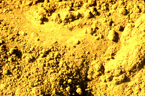 Sand.gif (56376 byte)